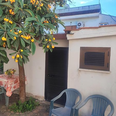 Little Lucia Acilia Exterior foto